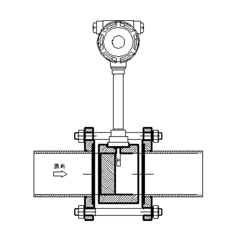 Vortex Flow Meter ACF-LUGB (1)