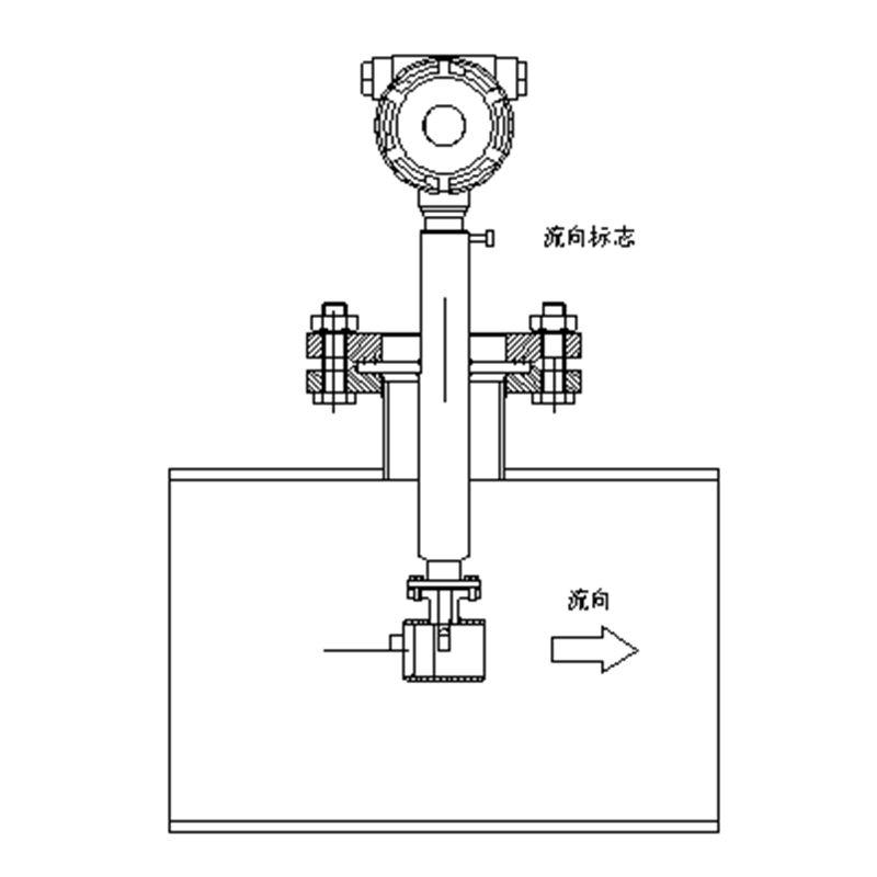 Vortex Flow Meter ACF-LUGB (3)